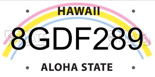 8GDF289 Hawaii License Plate