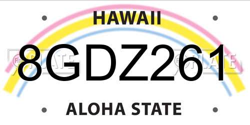 8GDZ261 Hawaii License Plate