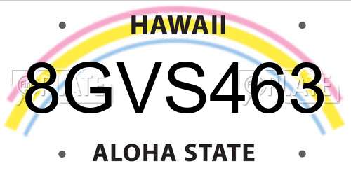 8GVS463 Hawaii License Plate