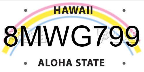 8MWG799 Hawaii License Plate