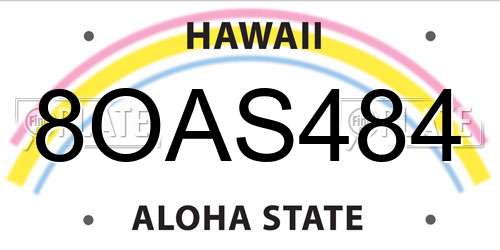 8OAS484 Hawaii License Plate