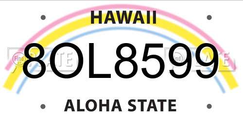 8OL8599 Hawaii License Plate