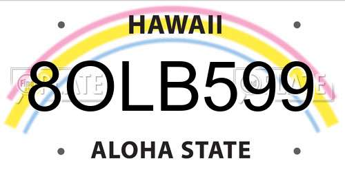 8OLB599 Hawaii License Plate