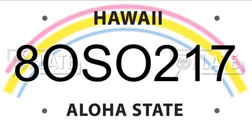 8OSO217 Hawaii License Plate