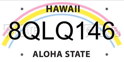 8QLQ146 Hawaii License Plate