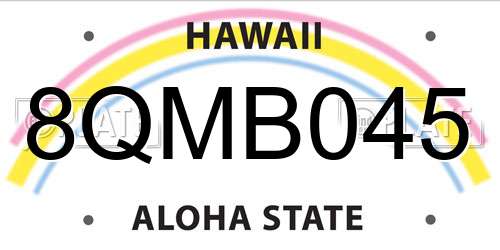 8QMB045 Hawaii License Plate