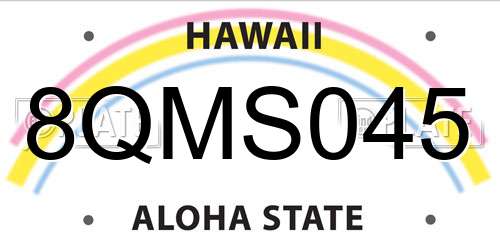 8QMS045 Hawaii License Plate