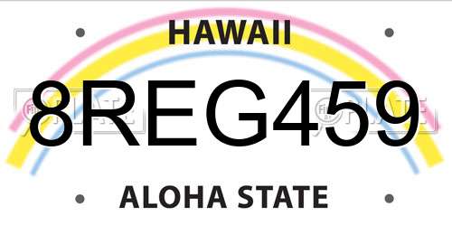 8REG459 Hawaii License Plate