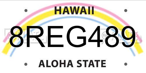 8REG489 Hawaii License Plate