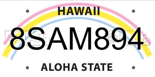 8SAM894 Hawaii License Plate