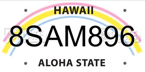 8SAM896 Hawaii License Plate