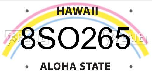 8SO265 Hawaii License Plate