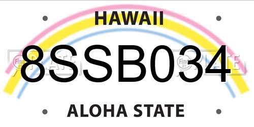 8SSB034 Hawaii License Plate