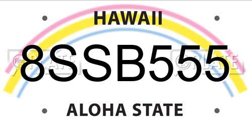 8SSB555 Hawaii License Plate