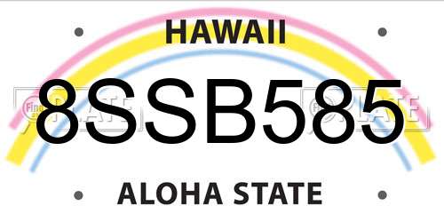 8SSB585 Hawaii License Plate