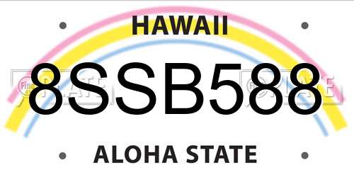 8SSB588 Hawaii License Plate