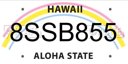 8SSB855 Hawaii License Plate