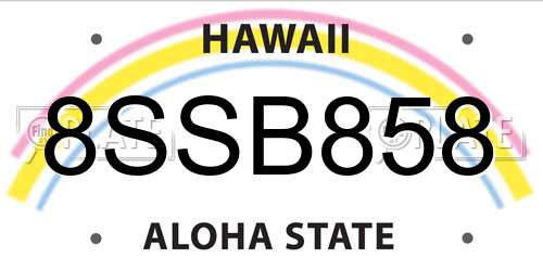8SSB858 Hawaii License Plate