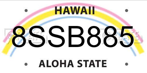 8SSB885 Hawaii License Plate