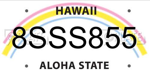 8SSS855 Hawaii License Plate
