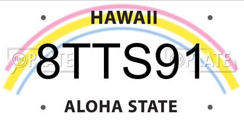 8TTS91 Hawaii License Plate