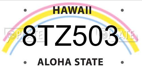 8TZ503 Hawaii License Plate