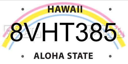 8VHT385 Hawaii License Plate