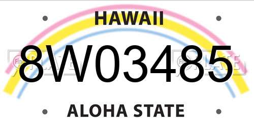 8W03485 Hawaii License Plate