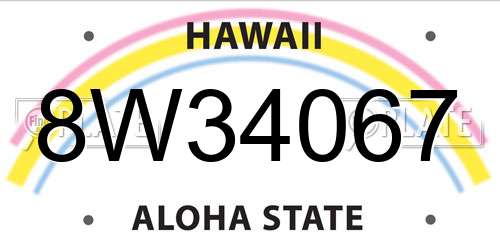 8W34067 Hawaii License Plate