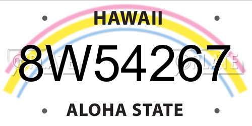 8W54267 Hawaii License Plate