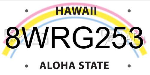 8WRG253 Hawaii License Plate