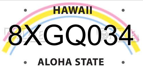 8XGQ034 Hawaii License Plate