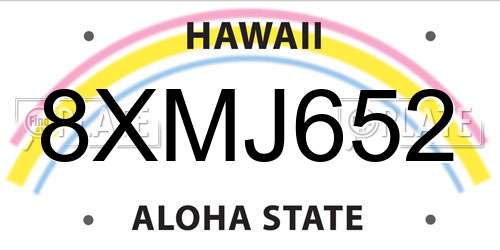 8XMJ652 Hawaii License Plate