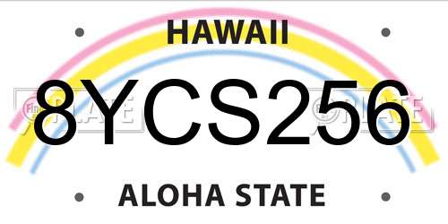 8YCS256 Hawaii License Plate
