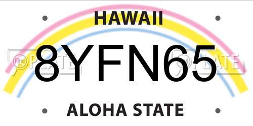 8YFN65 Hawaii License Plate