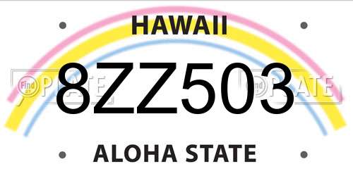 8ZZ503 Hawaii License Plate