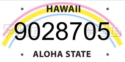 9028705 Hawaii License Plate