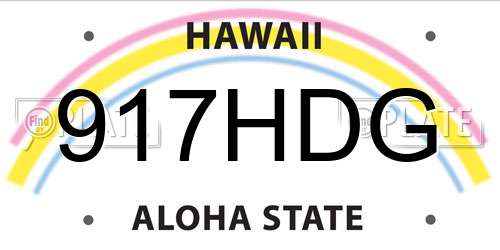 917HDG Hawaii License Plate