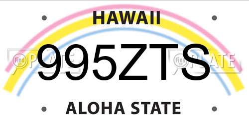 995ZTS Hawaii License Plate
