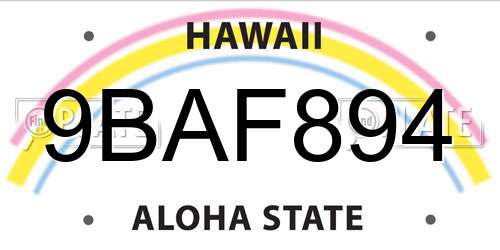 9BAF894 Hawaii License Plate
