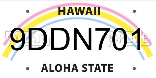 9DDN701 Hawaii License Plate