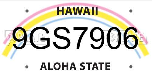 9GS7906 Hawaii License Plate