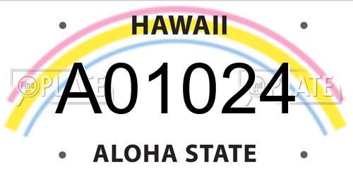 A01024 Hawaii License Plate