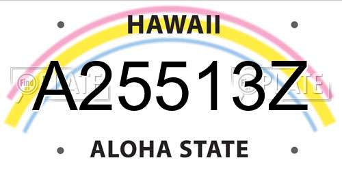 A25513Z Hawaii License Plate