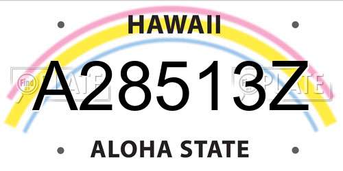 A28513Z Hawaii License Plate