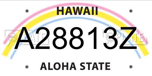 A28813Z Hawaii License Plate