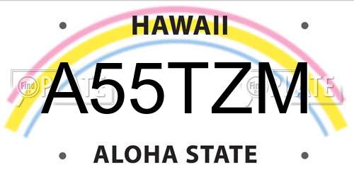 A55TZM Hawaii License Plate