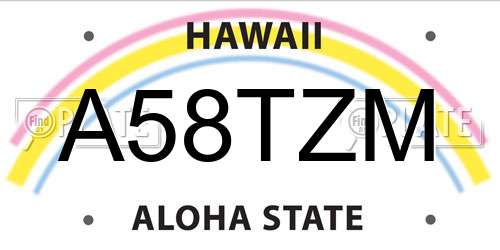 A58TZM Hawaii License Plate