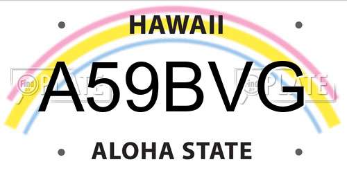 A59BVG Hawaii License Plate