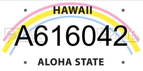 A616042 Hawaii License Plate